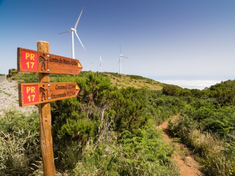 Rundreisen Portugal - Madeira: Wanderreise entlang Madeiras wilder Nordküste mit Levadawegen, Nebelwald und Atlantikblicken