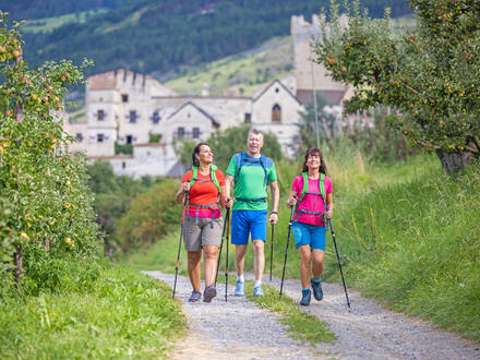 Eigene Anreise Italien - Südtirol: Wanderurlaub im Vinschgau ab/bis Mals Unkategorisiert online kaufen