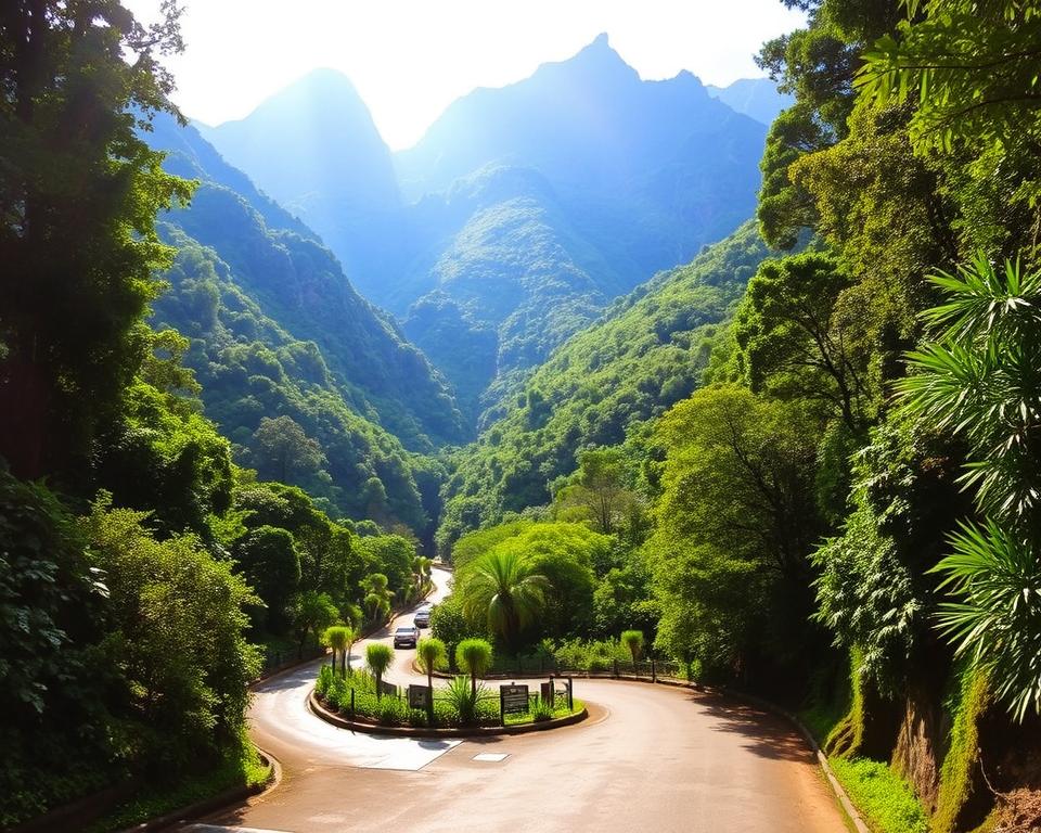 Anfahrt Levada Alecrim Wanderweg
