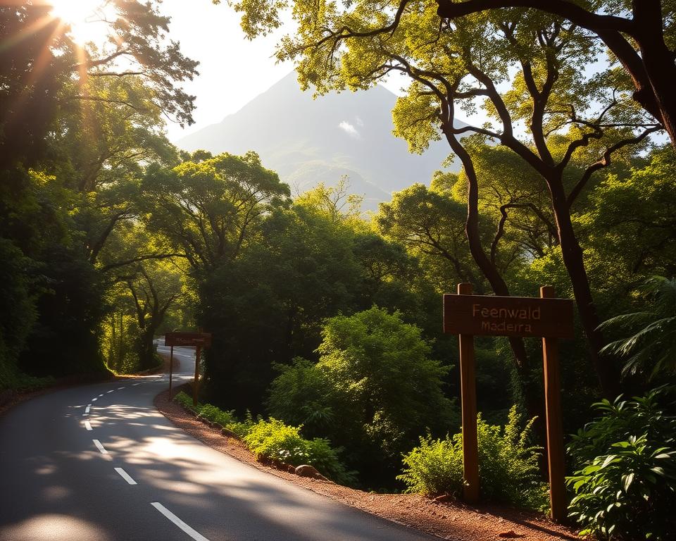 Anreise Feenwald Madeira