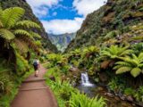 Levada das 25 Fontes: Ihr Wanderführer auf Madeira